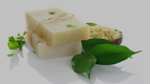 soap leave nature
